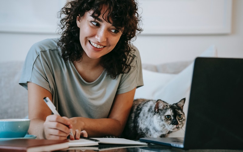 10 Cara Memelihara Kucing serta Manfaat dan Biayanya